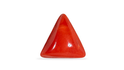 Natural Italian Red Coral (Moonga) 5.96 Carats