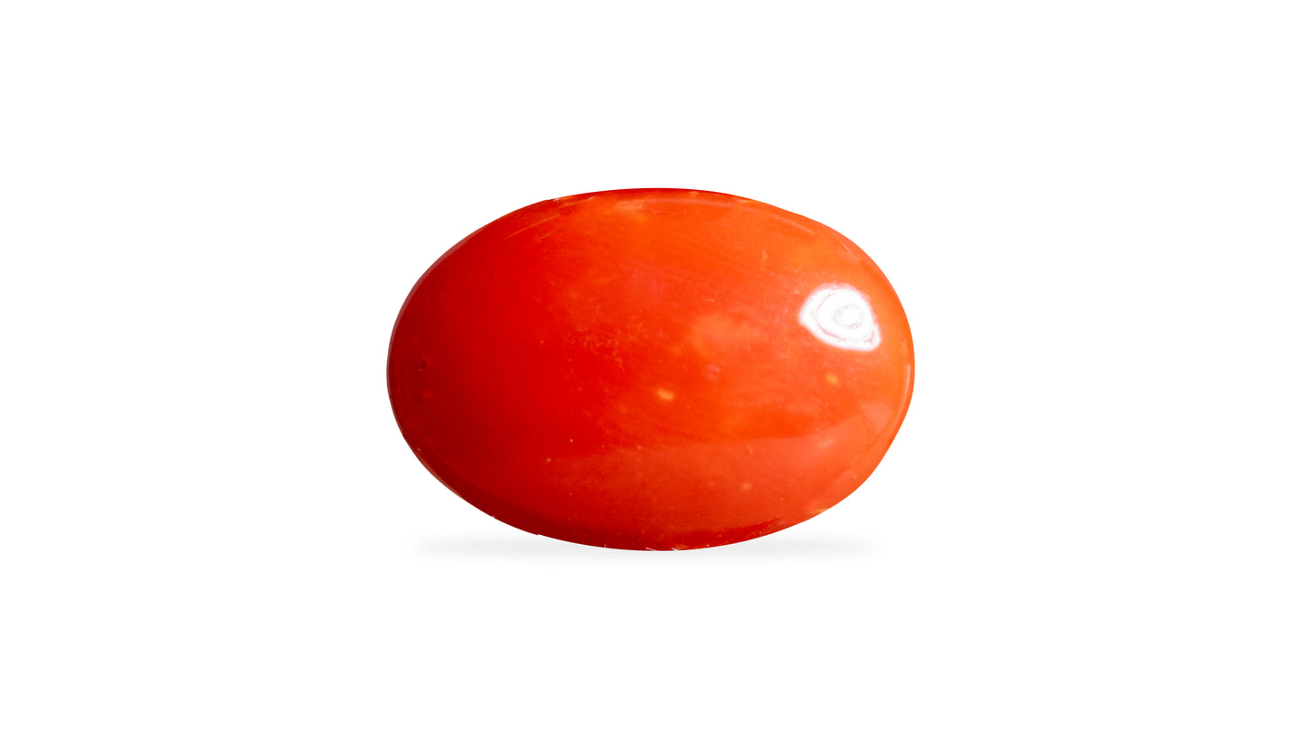 Japanese Red Coral (Moonga) 6.06 Carats