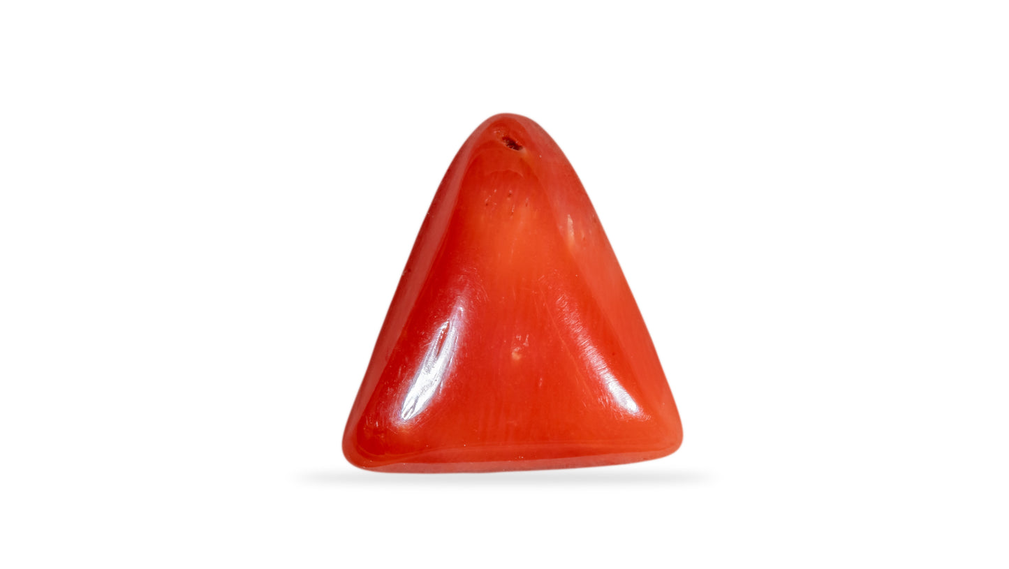 Natural Italian Red Coral (Moonga) 5.22 Carats