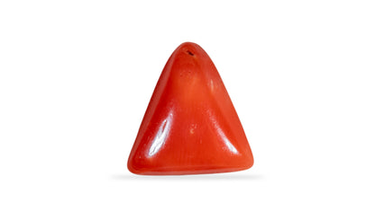 Natural Italian Red Coral (Moonga) 5.22 Carats