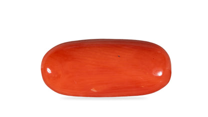 Natural Italian Red Coral (Moonga) 7.09 Carats