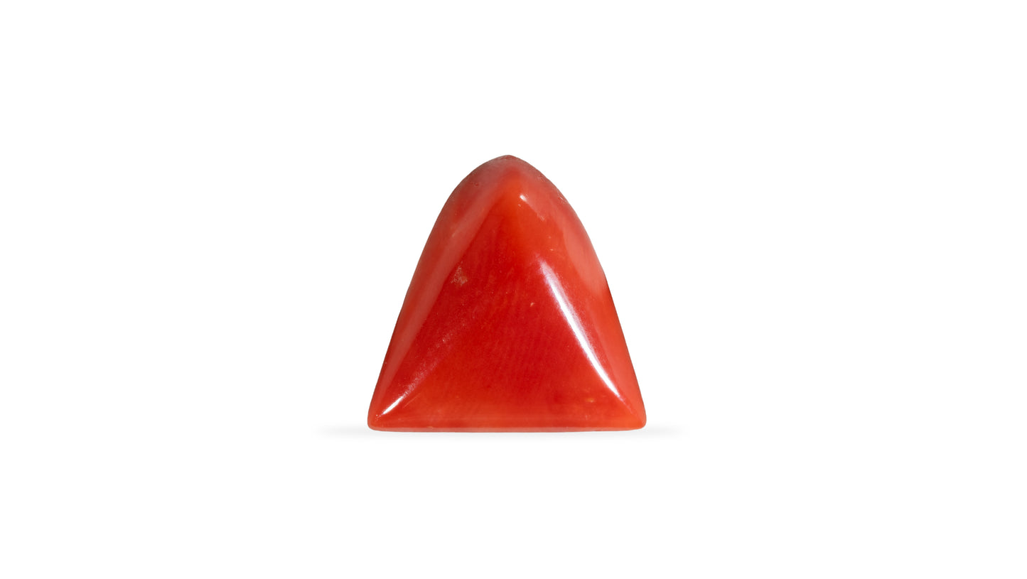 Natural Italian Red Coral (Moonga) 5.19 Carats