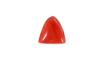 Natural Italian Red Coral (Moonga) 6.13 Carats