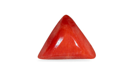 Natural Italian Red Coral (Moonga) 6.19 Carats