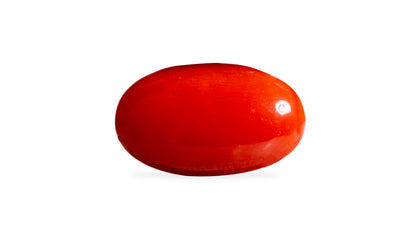 JAPANESE RED CORAL (Moonga) 4.85 CARATS