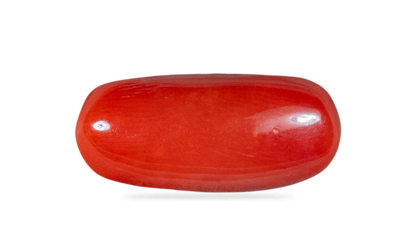 Natural Italian Red Coral (Moonga) 7.44 Carats