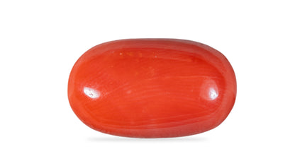 NATURAL RED CORAL (Moonga) 9.87 CARATS