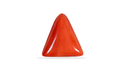 Natural Italian Red Coral (Moonga) 5.74 Carats