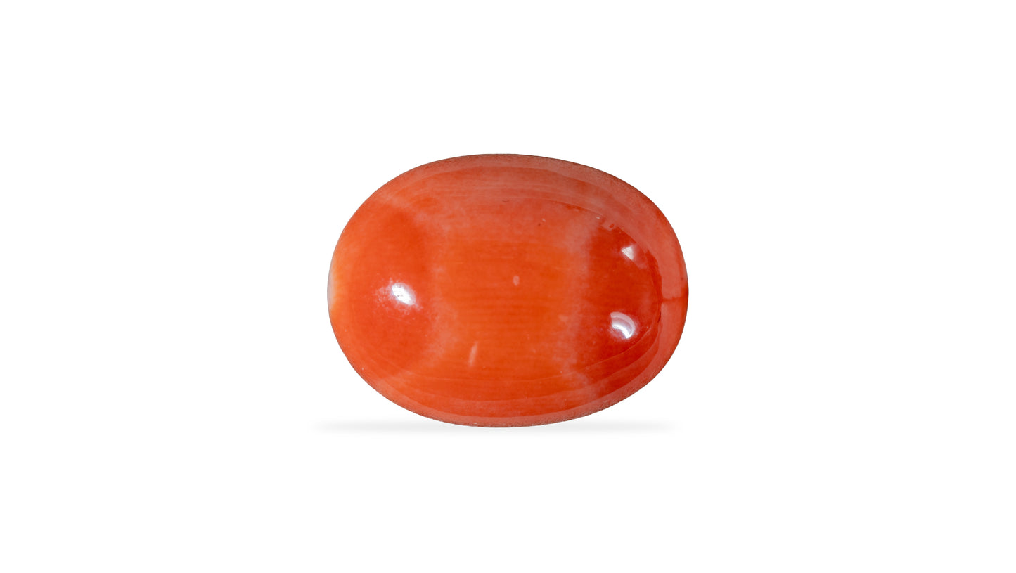 Japanese Red Coral (Moonga) 7.50 Carats