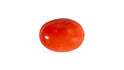 Japanese Red Coral (Moonga) 4.43 Carats