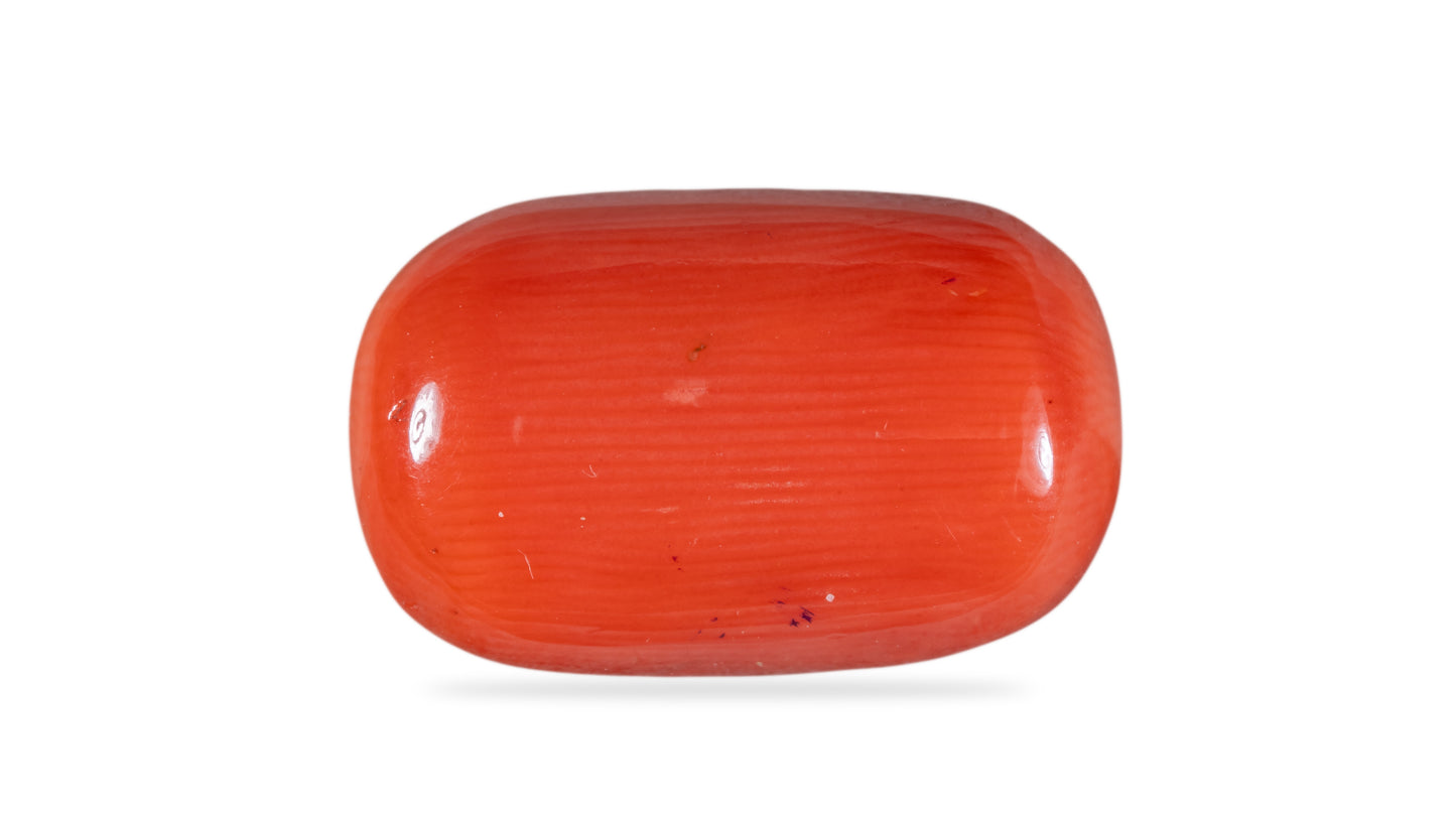 Natural Italian Red Coral (Moonga) 8.61 Carats