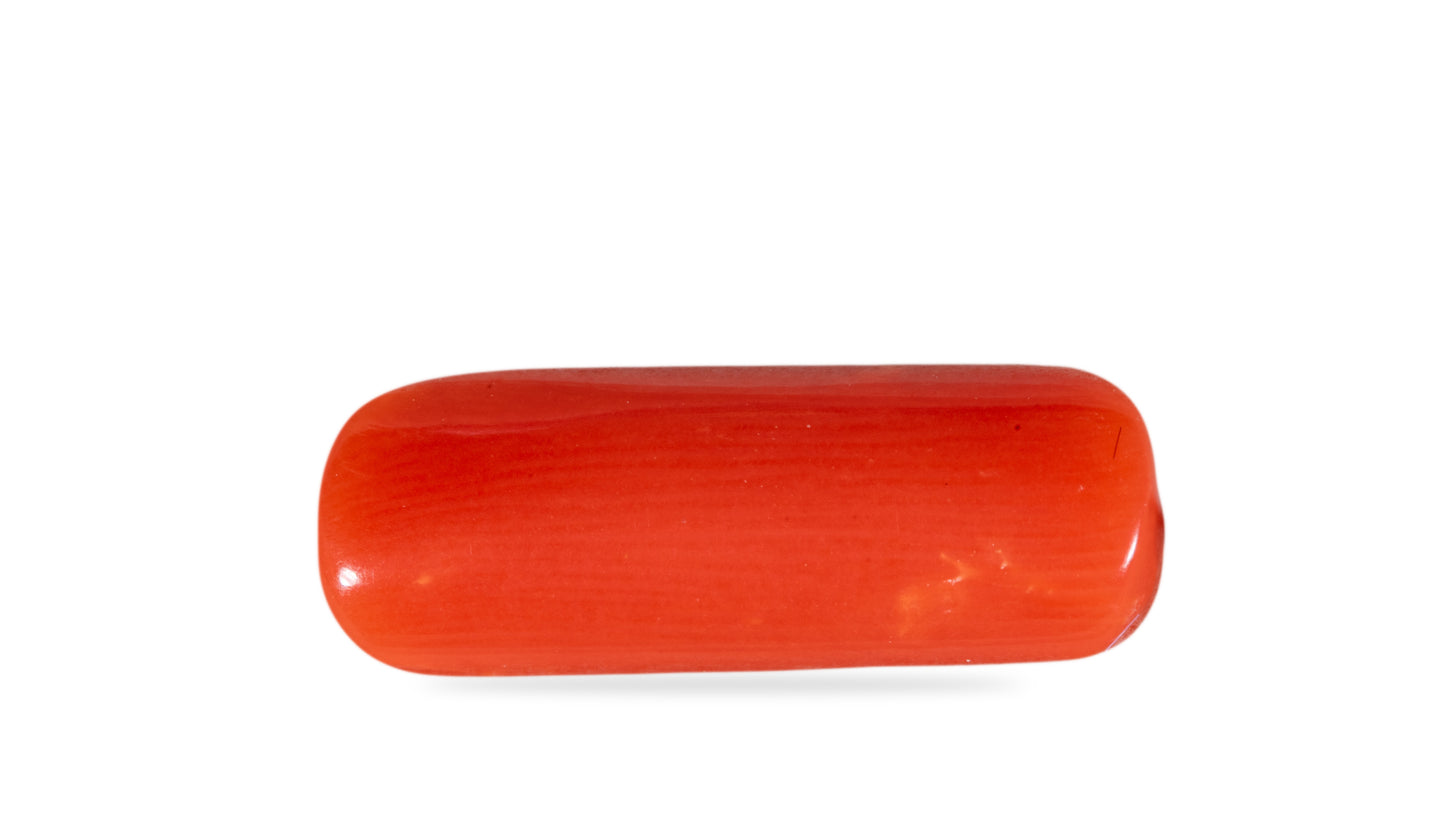 Natural Italian Red Coral (Moonga) 4.60 Carats