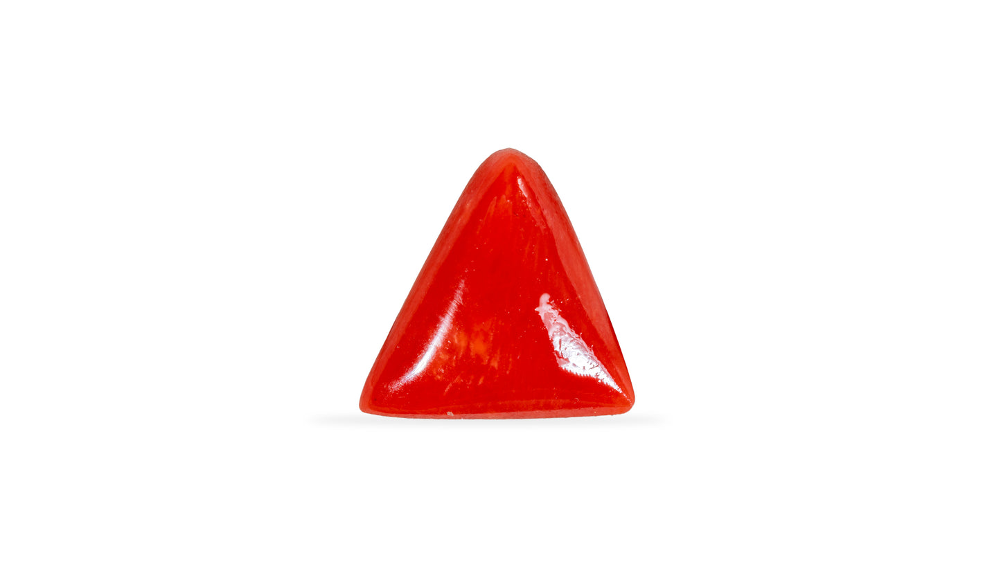 Natural Italian Red Coral (Moonga) 5.21 Carats