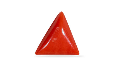 Natural Italian Red Coral (Moonga) 6.27 Carats
