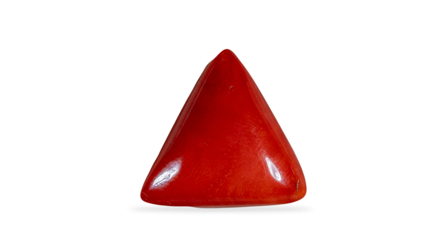 Natural Italian Red Coral (Moonga) 16.79 Carats