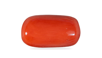 Natural Italian Red Coral (Moonga) 6.77 Carats
