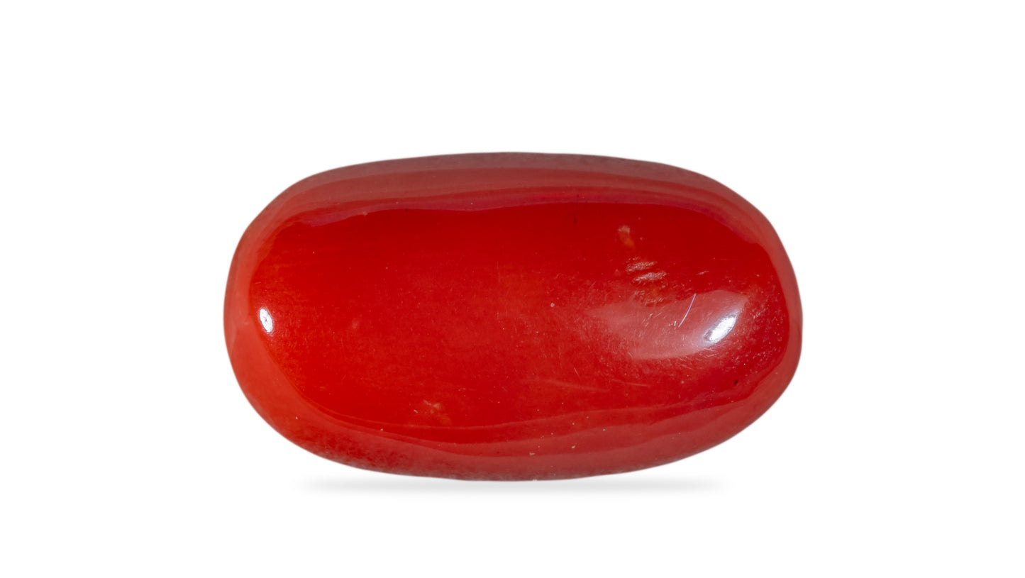 NATURAL RED CORAL (Moonga) 5.85 CARATS