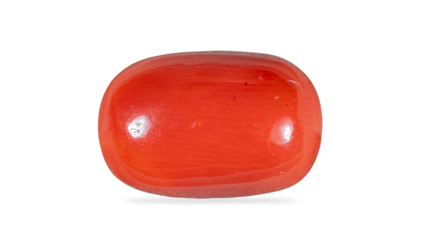 Natural Italian Red Coral (Moonga) 10.68 Carats