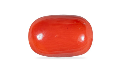 Natural Italian Red Coral (Moonga) 10.68 Carats