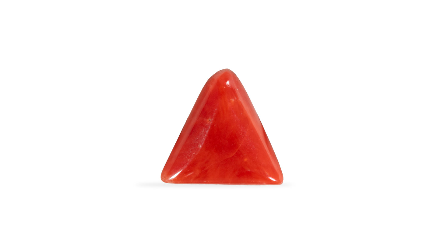 Natural Italian Red Coral (Moonga) 4.98 Carats