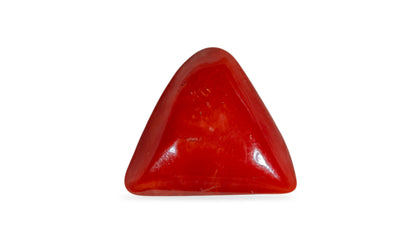 Natural Italian Red Coral (Moonga) 6.28 Carats