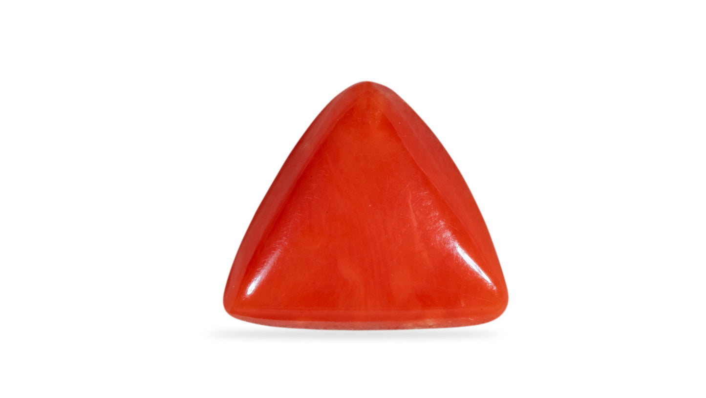 Natural Italian Red Coral (Moonga) 6.22 Carats