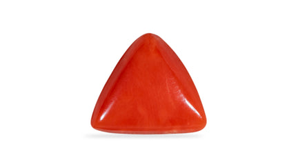 Natural Italian Red Coral (Moonga) 6.22 Carats