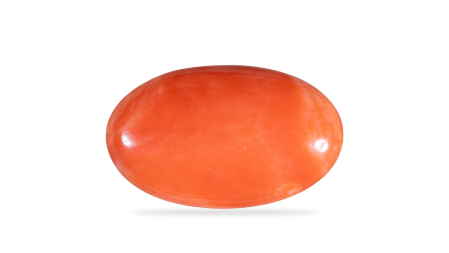 Japanese Red Coral (Moonga) 11.49 Carats