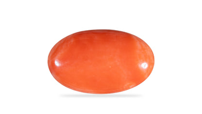 Japanese Red Coral (Moonga) 11.49 Carats