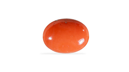 Japanese Red Coral (Moonga) 8.40 Carats