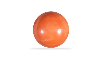 Japanese Red Coral (Moonga) 13.48 Carats