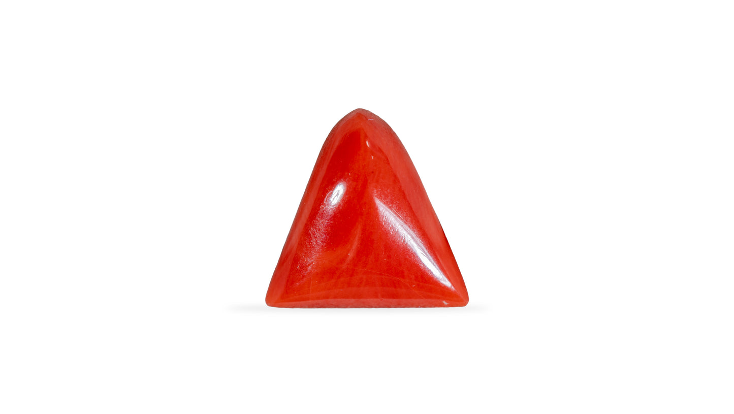 Natural Italian Red Coral (Moonga) 5.23 Carats