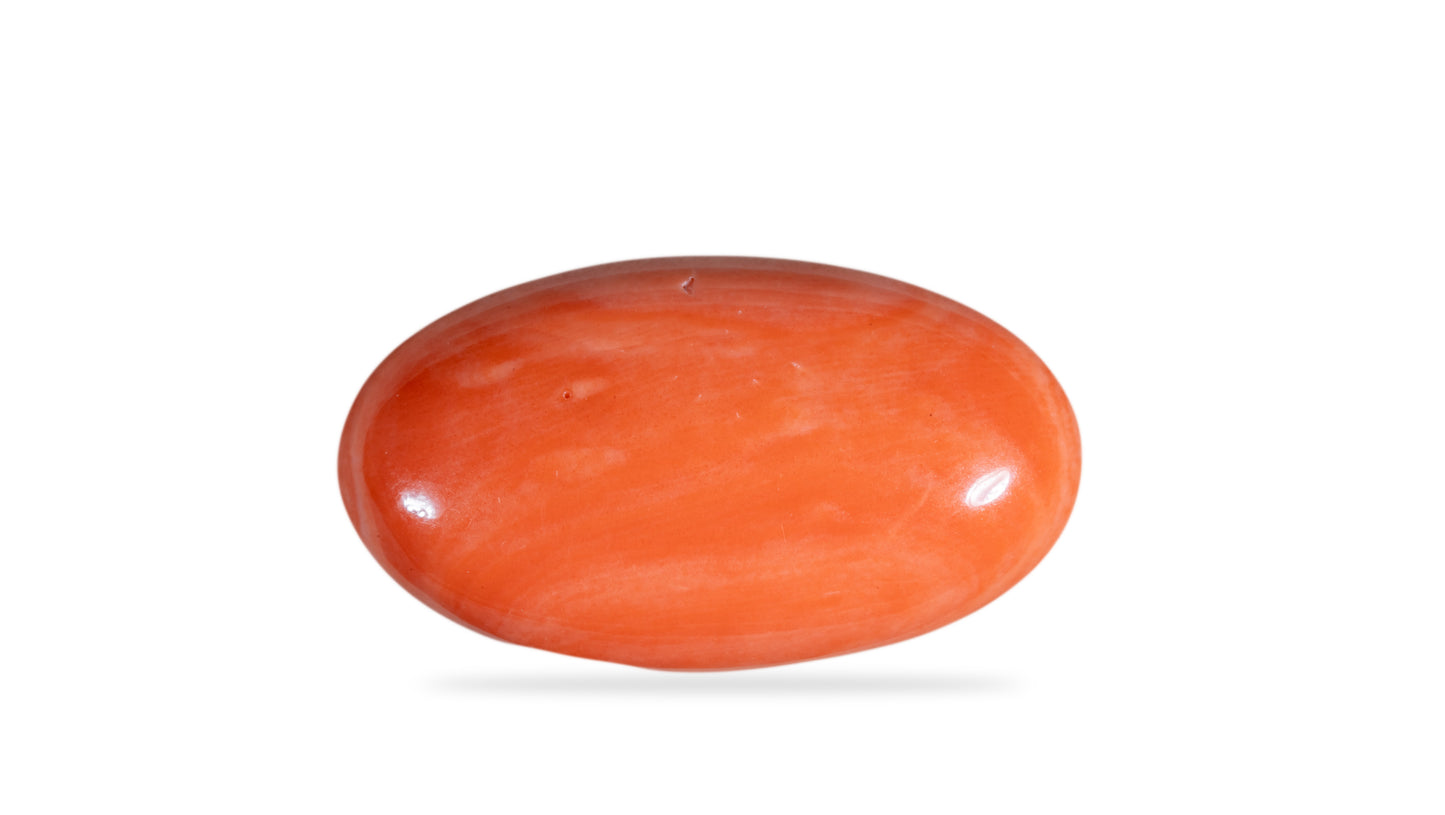 Japanese Red Coral (Moonga) 23.92 Carats