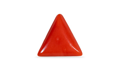 Natural Italian Red Coral (Moonga) 6.48 Carats