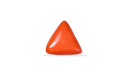 Natural Italian Red Coral (Moonga) 31.46 Carats