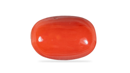 Natural Italian Red Coral (Moonga) 8.36 Carats