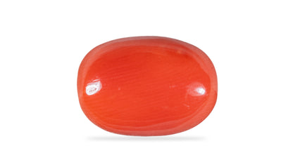 Natural Red Coral (Moonga) 8.91 Carats