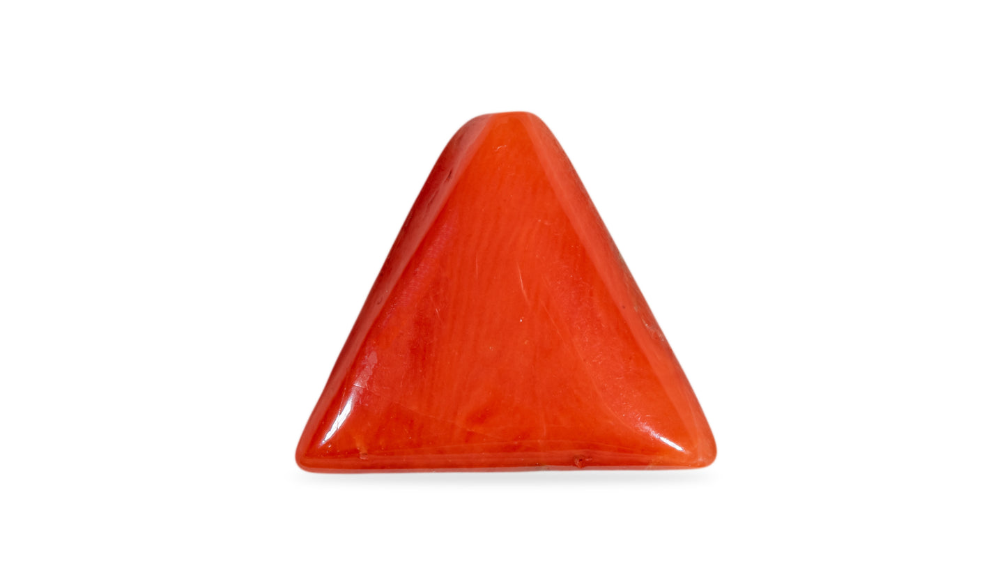 Natural Italian Red Coral (Moonga) 6.92 Carats