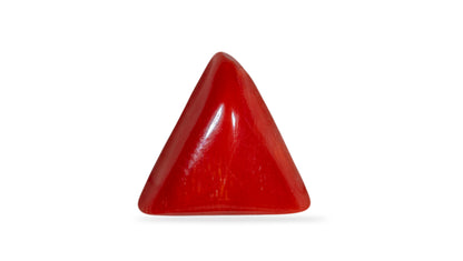 NATURAL RED CORAL (Moonga) 6.19 CARATS