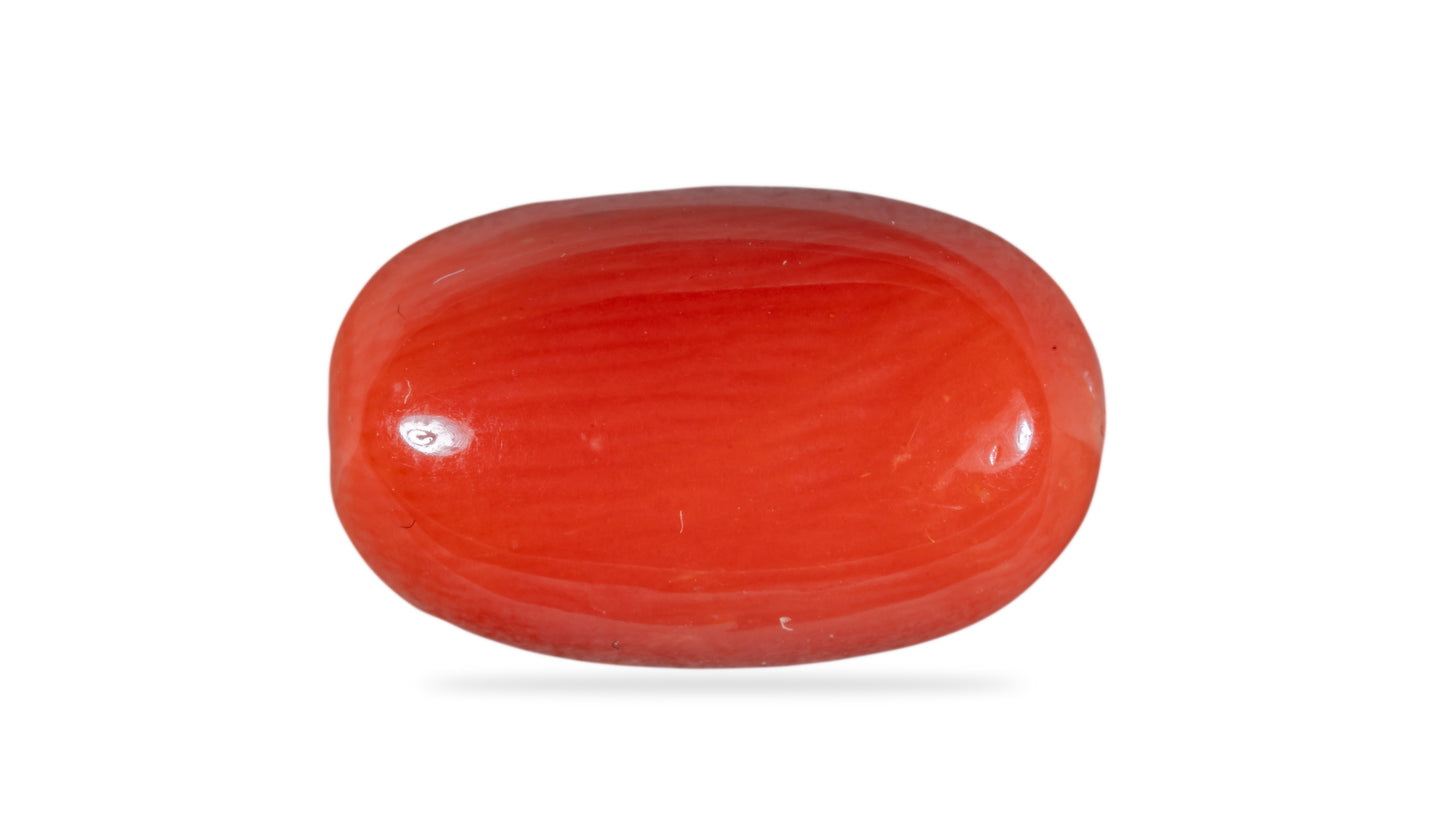 Natural Red Coral (Moonga) 8.04 Carats