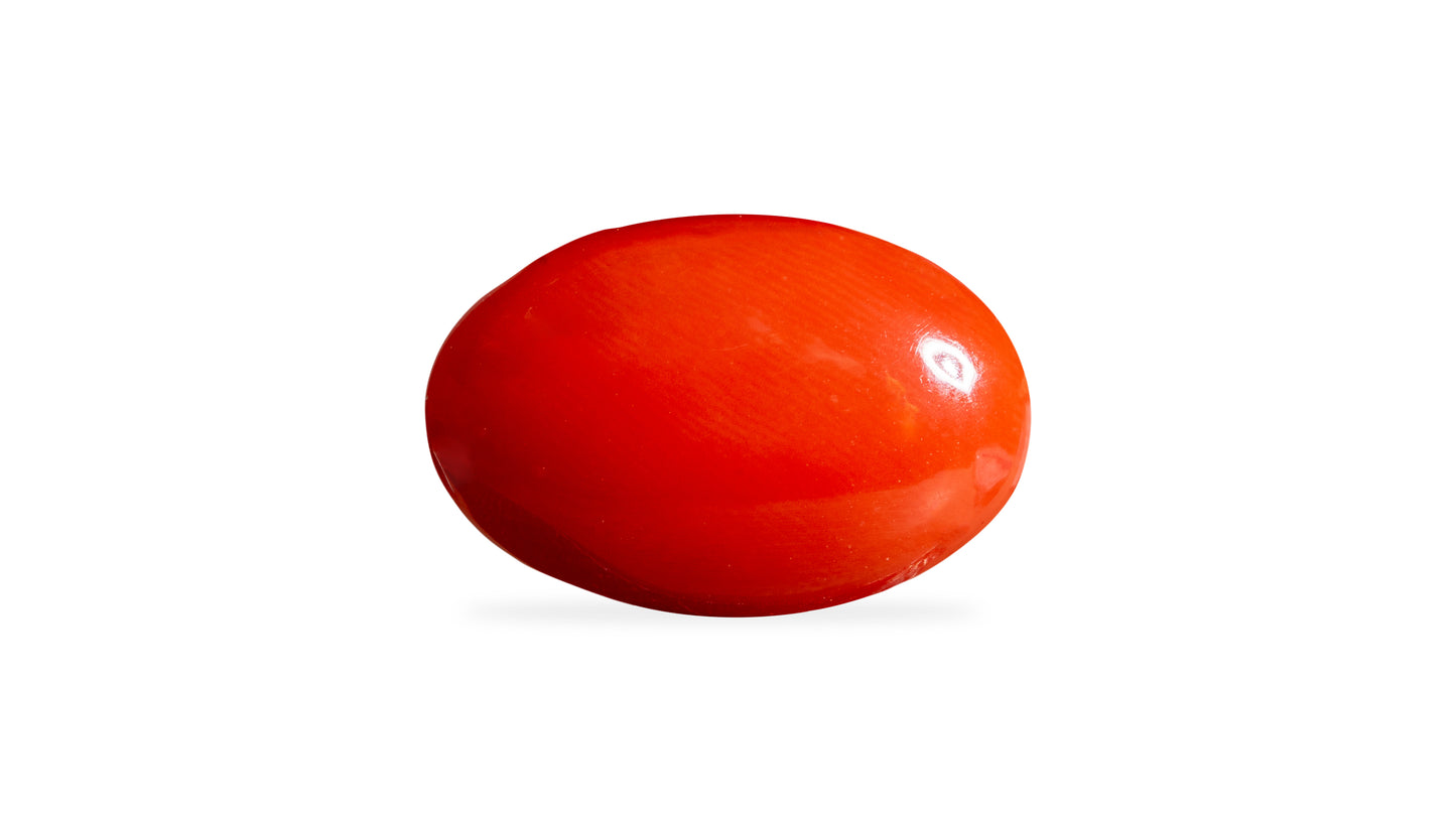 Japanese Red Coral (Moonga) 5.34 Carats