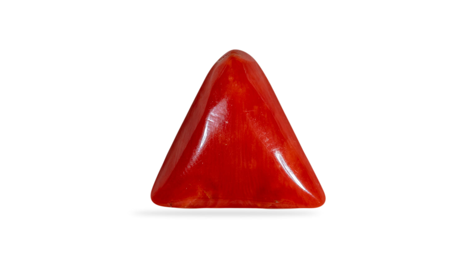 Natural Italian Red Coral (Moonga) 11.81 Carats