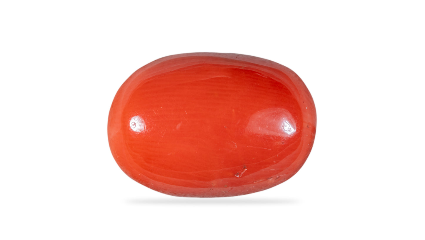 Natural Italian Red Coral (Moonga) 10.08 Carats