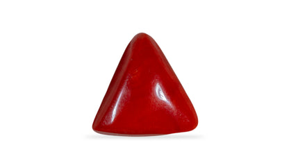 Natural Red Coral (Moonga) 14.78 Carats