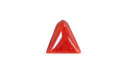 Natural Italian Red Coral (Moonga) 5.04 Carats