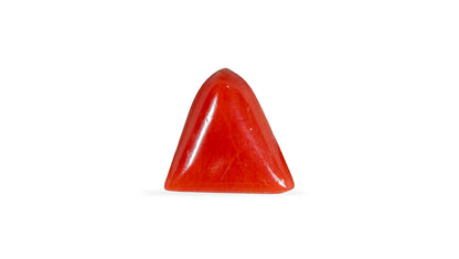 Natural Italian Red Coral (Moonga) 5.20 Carats
