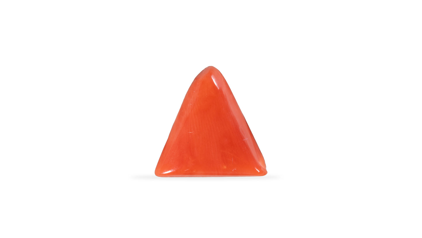 Natural Red Coral (Moonga) 6.06 Carats