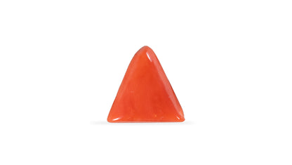 Natural Red Coral (Moonga) 6.06 Carats
