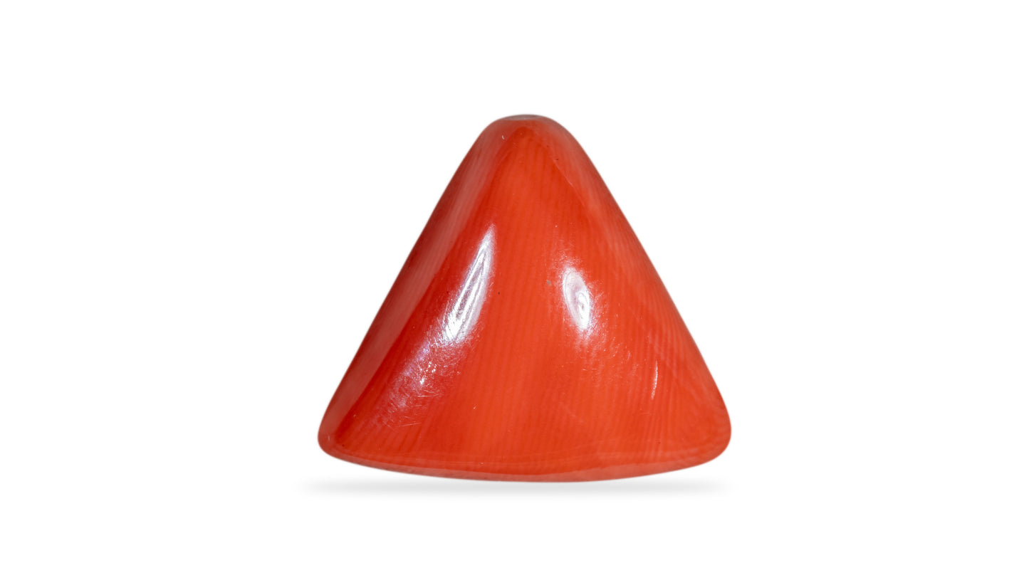 Natural Red Coral (Moonga) 9.67 Carats