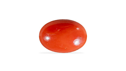 Japanese Red Coral (Moonga) 4.21 Carats